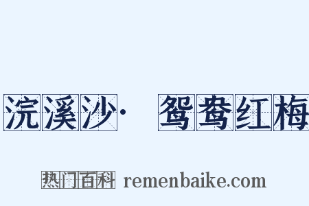 浣溪沙·鸳鸯红梅是什么意思的图片